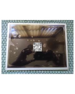 LQ121S1LG72 12.1 Inch LCD 30 Pin