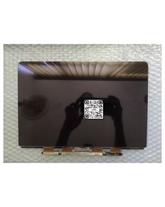 Apple Macbook Pro A1502 13.3 LCD Display - 2015 2016
