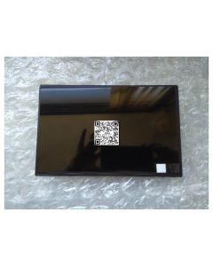N101ICG-L11 10.1 Inch LCD
