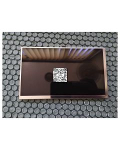 PW070XS7N2 7 Inch LCD 30 Pin